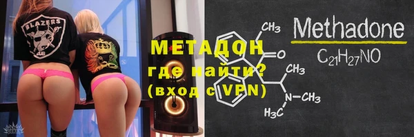 прущие грибы Медвежьегорск
