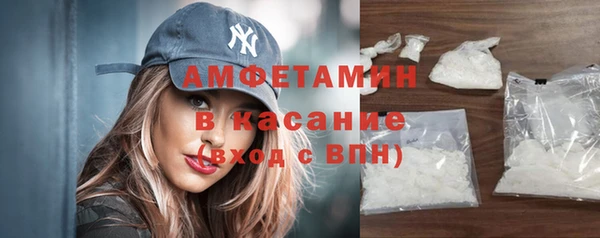 прущие грибы Медвежьегорск
