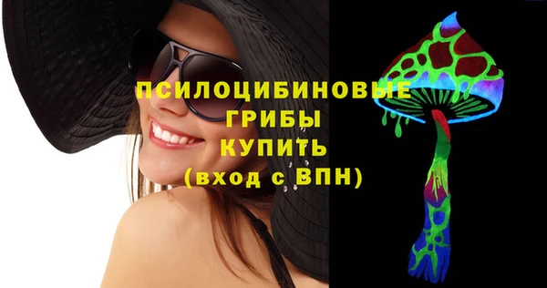 гашик Медногорск