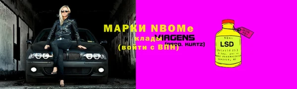 прущие грибы Медвежьегорск