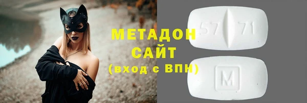 прущие грибы Медвежьегорск