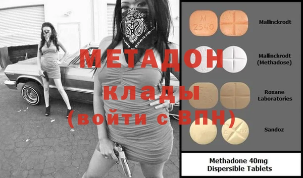 прущие грибы Медвежьегорск