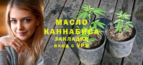 гашик Медногорск