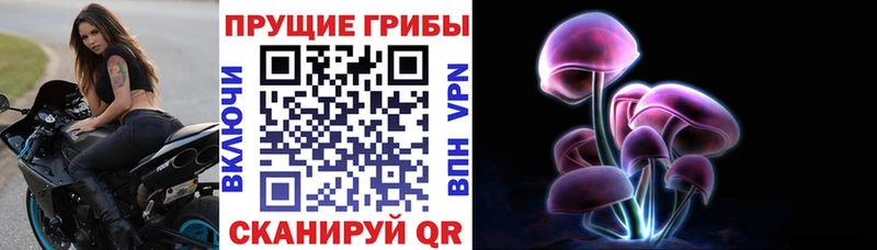 купить  цена  Якутск  Псилоцибиновые грибы Psilocybe 
